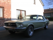 Mustang 67 Stephan 001