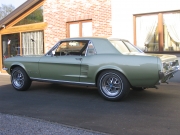 Mustang 67 Stephan 002